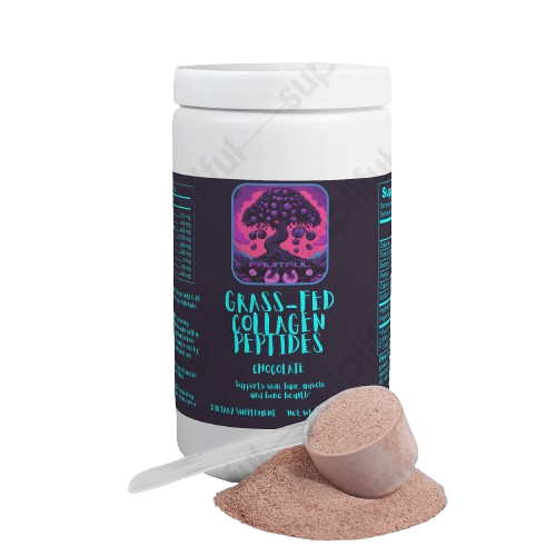 Grass-Fed Collagen Peptides Powder (Chocolate)